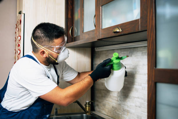 Northwest Harwinton, CT Pest Control Company