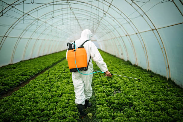 Best Pest Removal Services  in Northwest Harwinton, CT