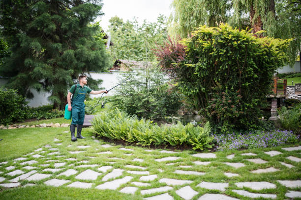 Pest Prevention Services in Northwest Harwinton, CT