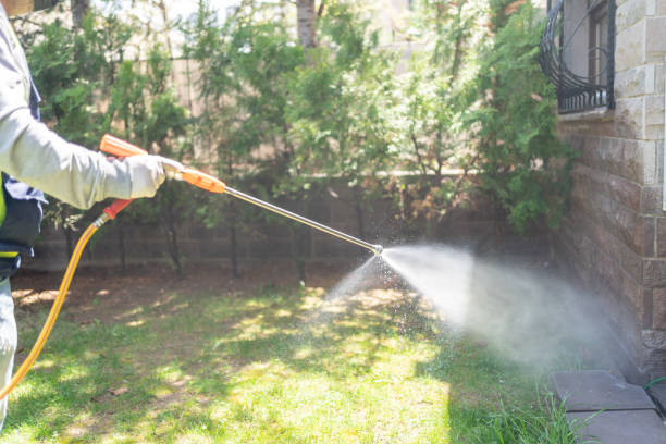 Best Emergency Pest Control  in Northwest Harwinton, CT