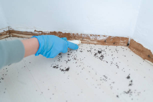 Best Pest Prevention Services  in Northwest Harwinton, CT